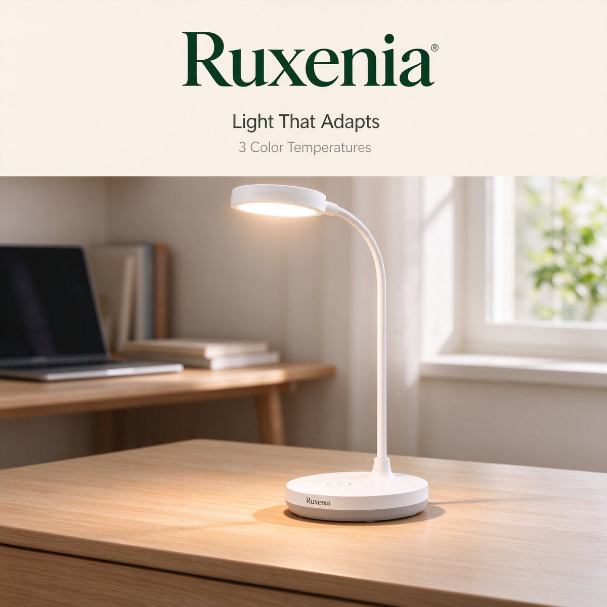 Ruxenia® Portable LED Desk Lamp