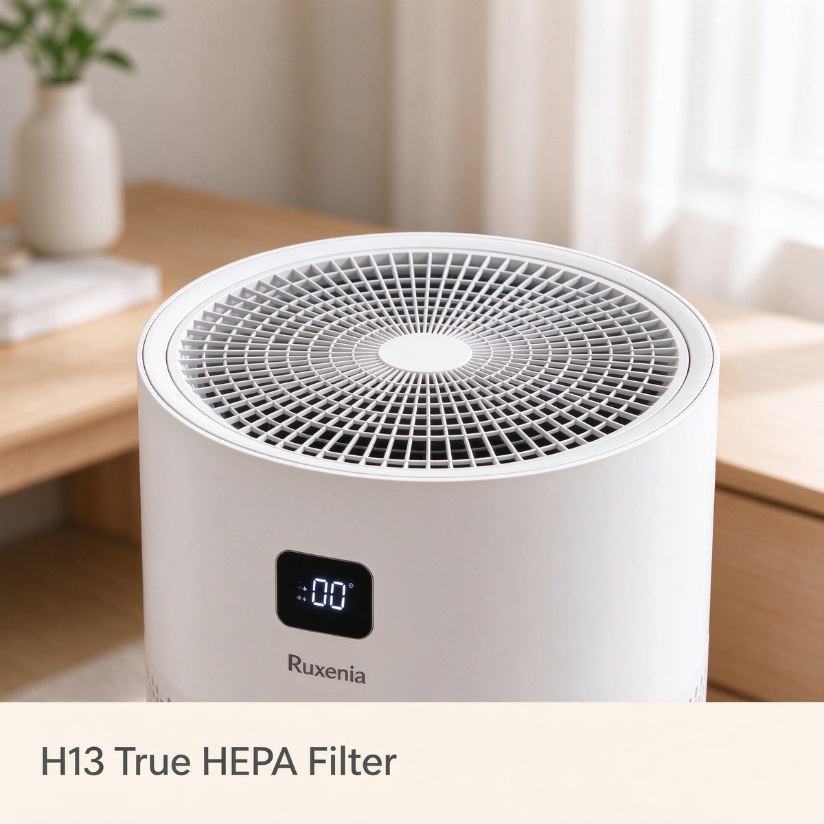 Ruxenia® Mini Desktop Air Purifier