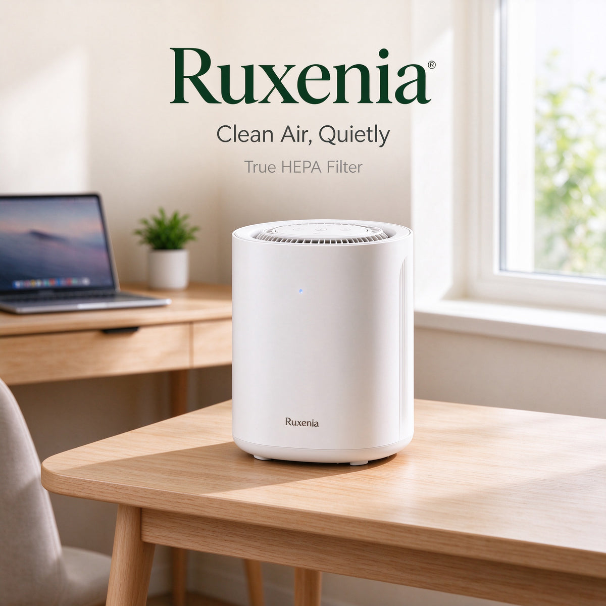 Ruxenia® Mini Desktop Air Purifier